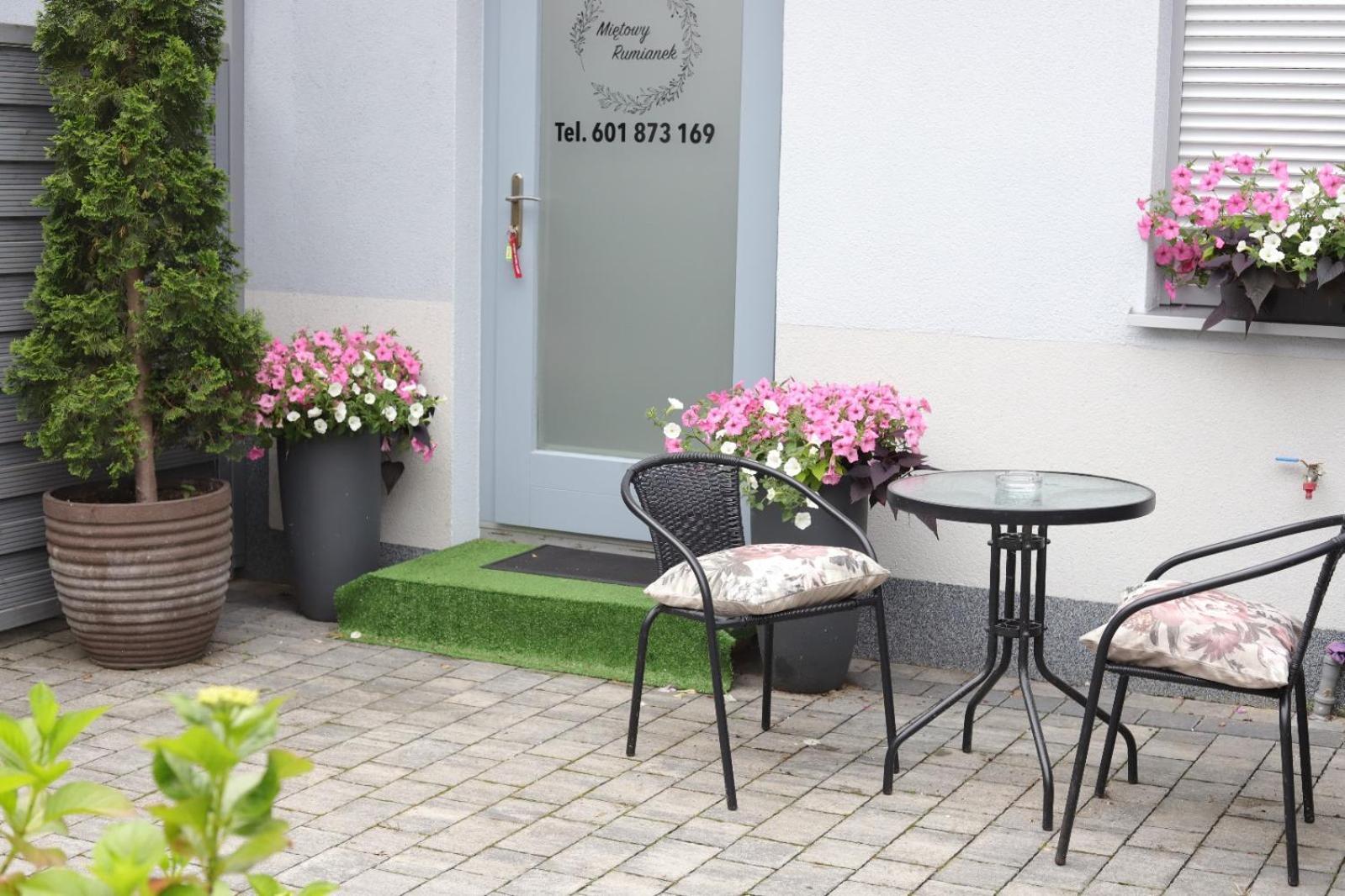 Lwowek 2 Apartament Mietowy Rumianek מראה חיצוני תמונה